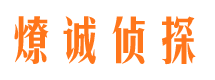 法库出轨调查